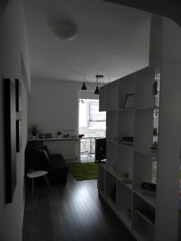 Cozy Central Studio Бухарест Экстерьер фото